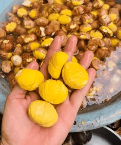 HẠT DẺ TRÙNG KHÁNH (ĐÃ TÁCH VỎ)