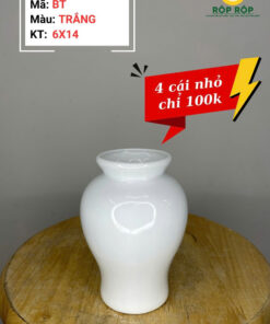 BÌNH GỐM - BT