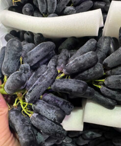 NHO ĐEN NGÓN TAY XỐP