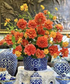 THƯỢC DƯỢC CAM