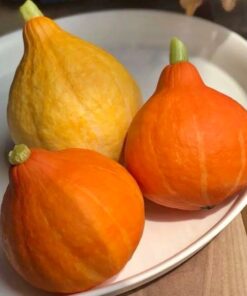 Bí Ngô giọt nước