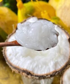 DỪA SÁP - ĐẶC SẢN BẾN TRE