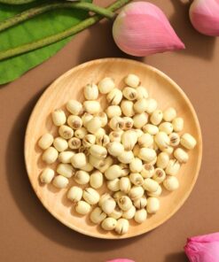 HẠT SEN - HẠT NGỌC XỨ HUẾ