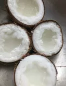 Dừa sáp