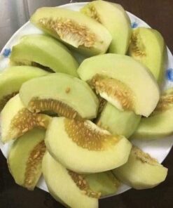 DƯA LÊ NINH THUẬN