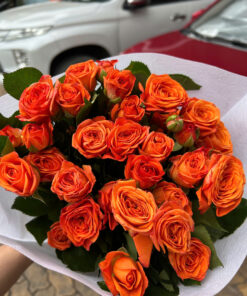 HỒNG CHÙM CÔN MINH