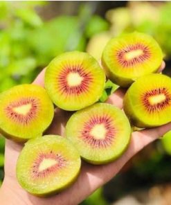KIWI ĐỎ THÙNG 2KG