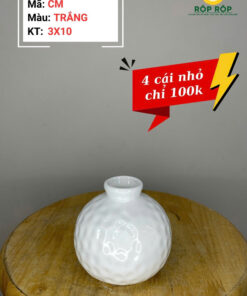 BÌNH GỐM - CM