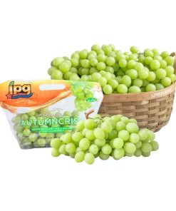 NHO XANH SEA IPG GOLD