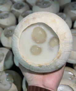 RAU CÂU DỪA NHẢN HẠT SEN VỚI KEM CHEESE