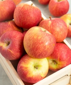 TÁO BỊCH FUJI DELECTA