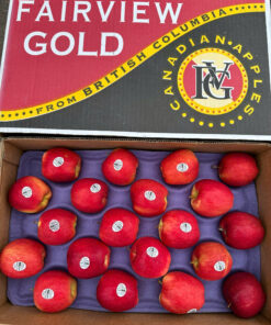 TÁO AMBROSIA CANADA