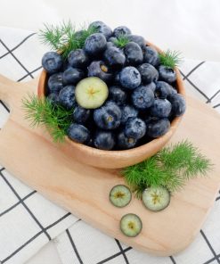 VIỆT QUẤT PERU HỘP