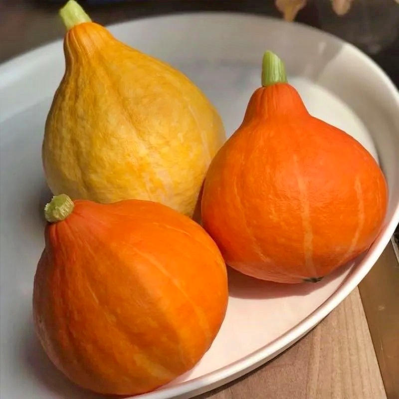 Bí Ngô giọt nước