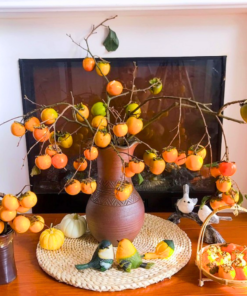 Cành Hồng cắm chậu