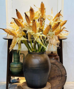 Cành ngô khô