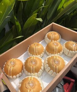 Lê Sâm Hàn Quốc