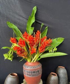 Chuối vảy rồng