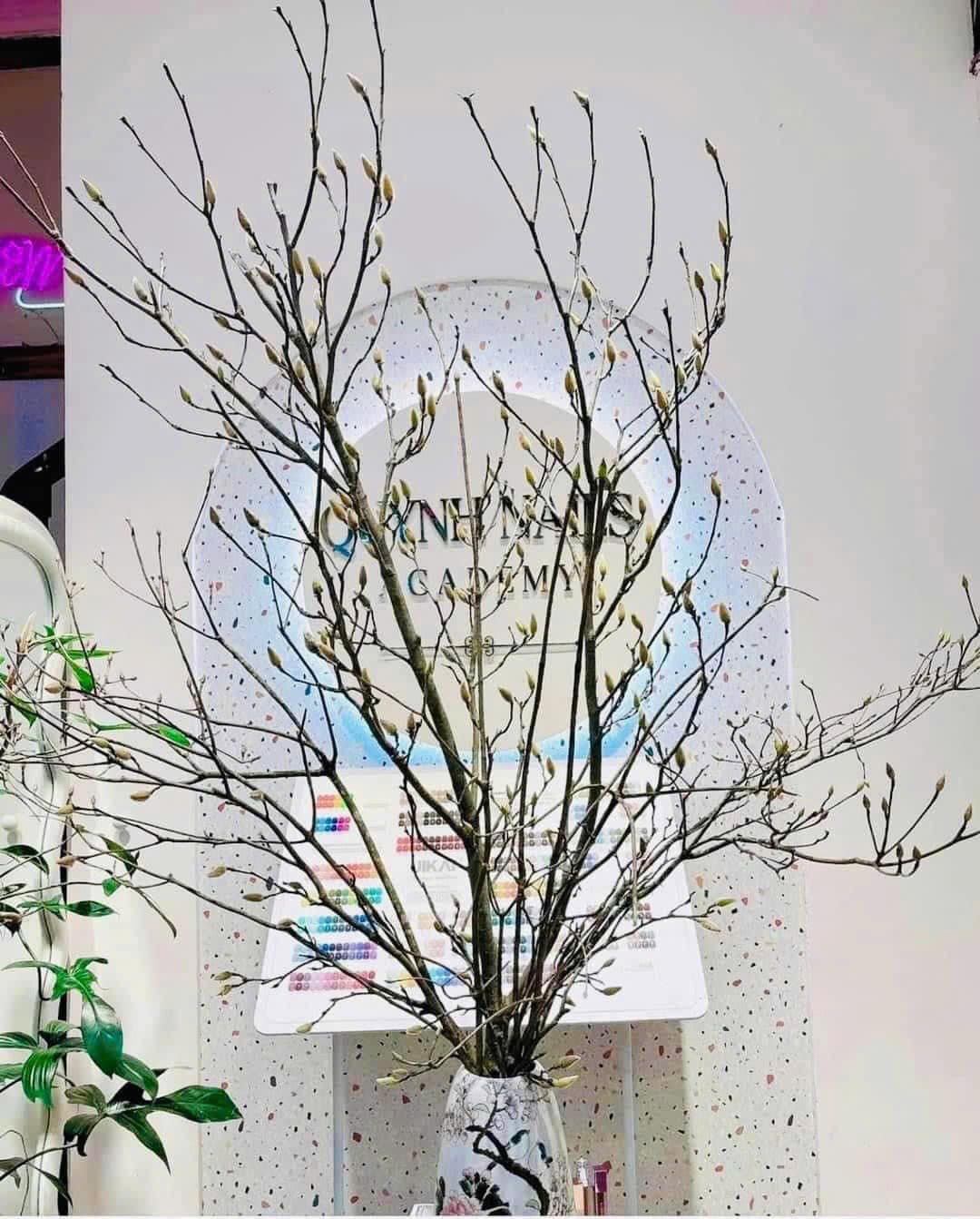 Cành Ô Long – Vẻ Đẹp Độc Đáo, Hiện Đại Cho Trang Trí Không Gian Sống