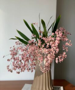 Lan Hồng Lâu Mộng