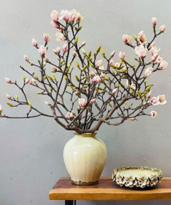 Mộc Lan Rừng – Vẻ Đẹp Thuần Khiết Giữa Núi Rừng, Biểu Tượng Của Sự Thanh Cao & Bình An