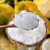DỪA SÁP - ĐẶC SẢN BẾN TRE
