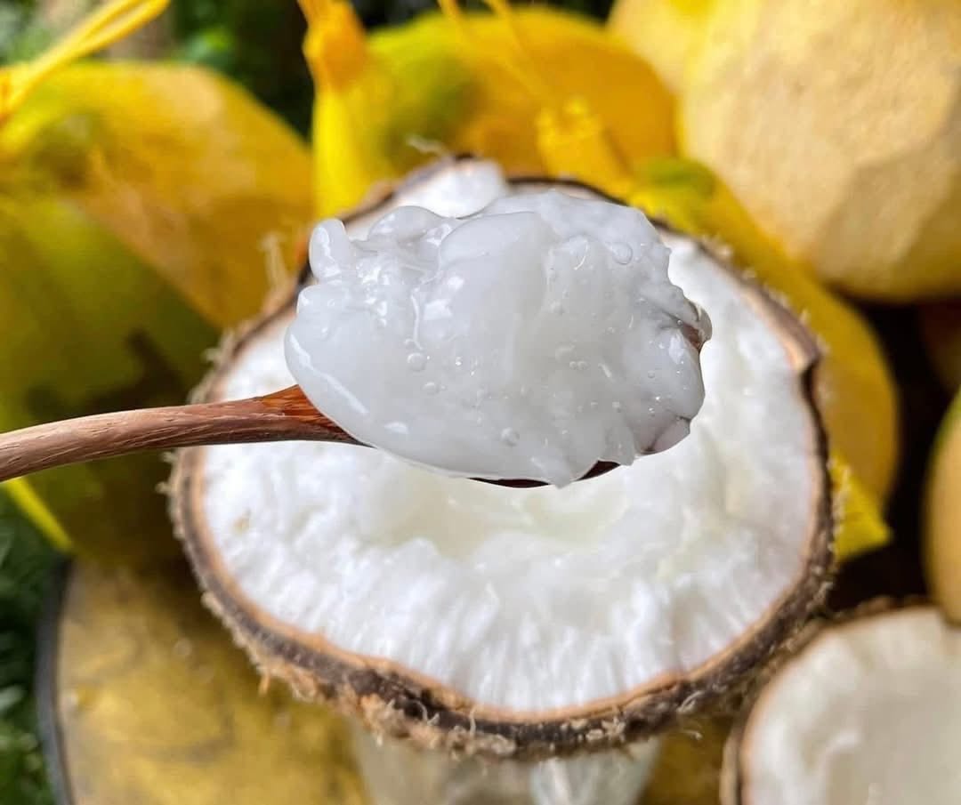 DỪA SÁP - ĐẶC SẢN BẾN TRE