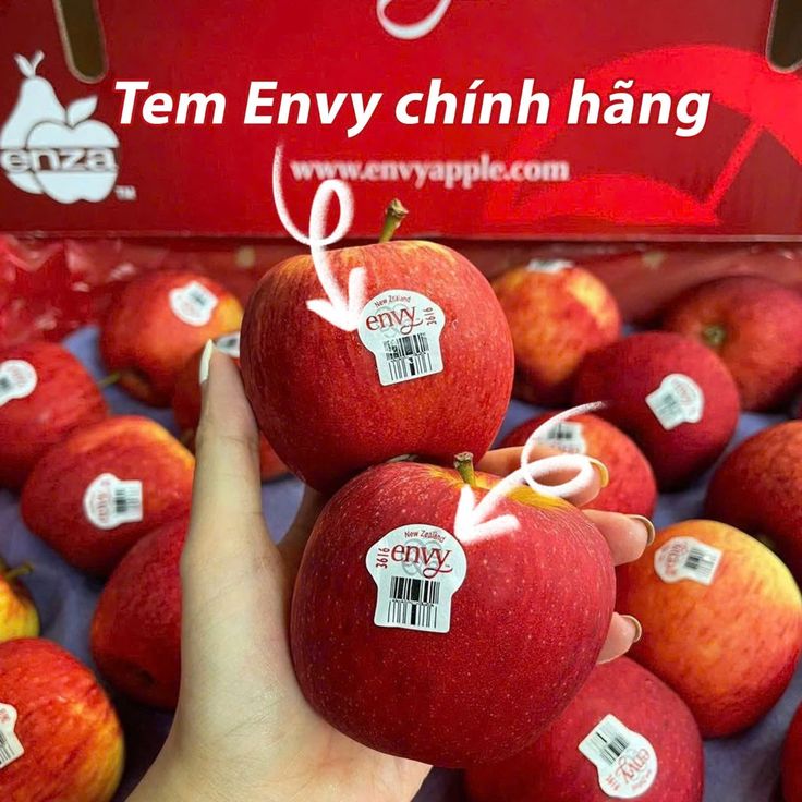 TÁO ENVY